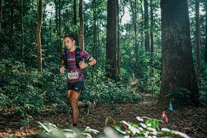 BIB: 
                            <button type="button" onclick="openModal(26069751)" class="btn btn-primary btn-sm float-right btn-popup" data-toggle="modal" data-target=".modal-high-quality">
                        <i class="fas fa-shopping-cart"></i> Add to Cart
                    </button>
                                            <button type="button" onclick="isThisMe(26069751, true)" class="btn btn-success btn-sm float-right btn-popup btn-isme hidden" data-toggle="tooltip" data-placement="bottom" title="นี่คือรูปของคุณใช่ไหม คลิกที่นี่เพื่อเอาเข้าอัลบั้ม">
                        <i class="fas fa-plus"></i> Add to album
                    </button>
                    <button type="button" onclick="isThisMe(26069751, false)" class="btn btn-warning btn-sm float-right btn-popup btn-isnotme hidden">
                        <i class="fas fa-ban"></i> Remove from album
                    </button>